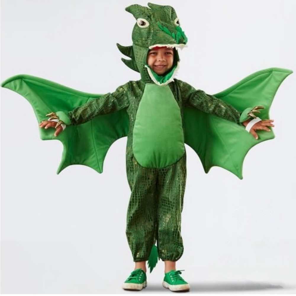 Pottery Barn Kids Green Dragon Costume